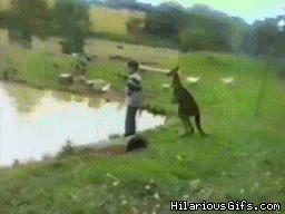 0F7cPfw2xs.gif
