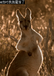 20140121145452_MaMB4.thumb.224_0.gif