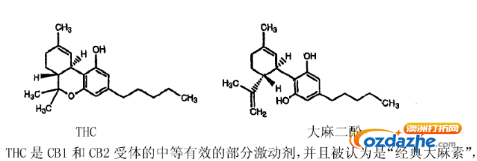 QQ截图20170511112946.png